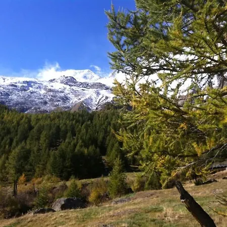 公寓 Mikado By Interhome 萨斯费