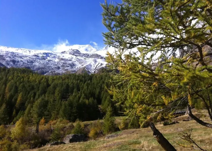Apartmán Mikado By Interhome Saas Fee